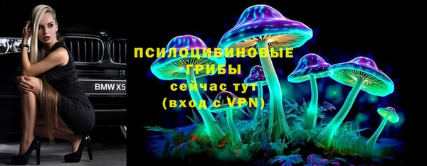 амф Алексеевка