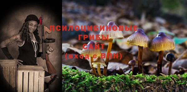 амф Алексеевка