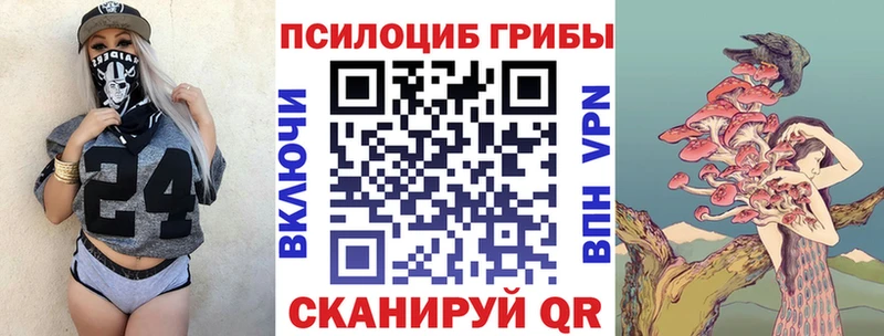 Галлюциногенные грибы Psilocybe  Судогда 